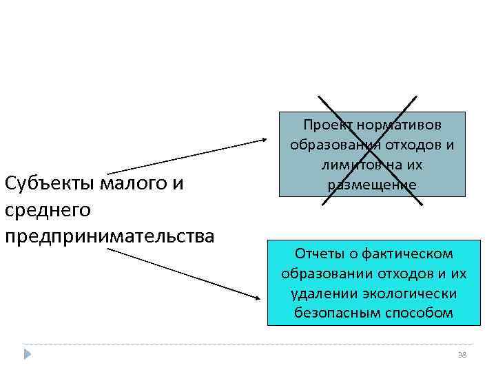 Субъекты малого и среднего предпринимательства Проект нормативов образования отходов и лимитов на их размещение