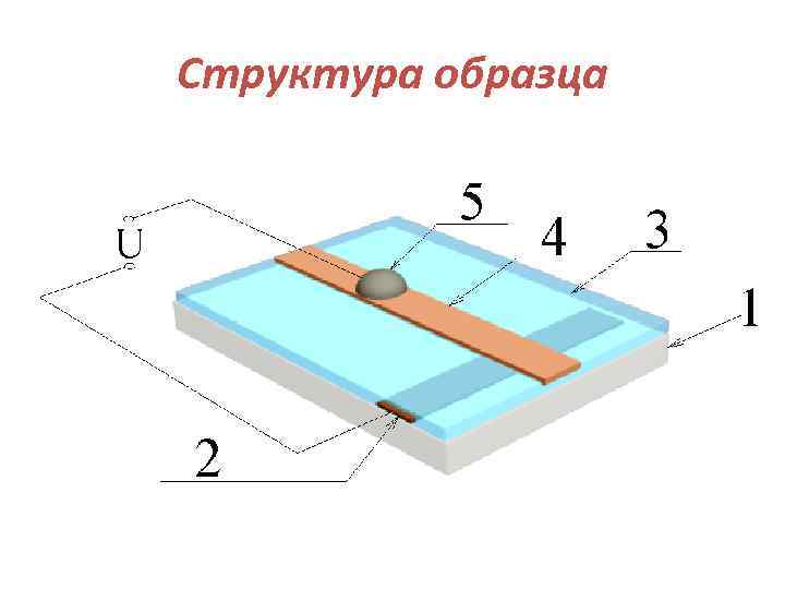 Структура образца 