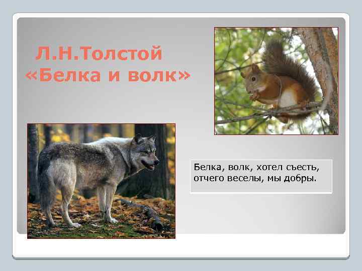 Л. Н. Толстой «Белка и волк» Белка, волк, хотел съесть, отчего веселы, мы добры.