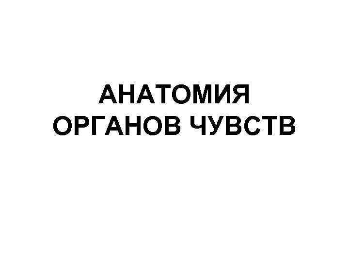 АНАТОМИЯ ОРГАНОВ ЧУВСТВ 