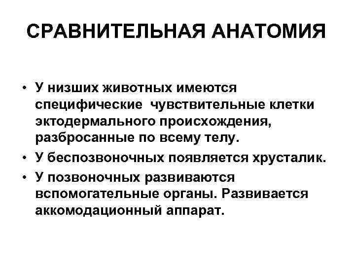 СРАВНИТЕЛЬНАЯ АНАТОМИЯ • У низших животных имеются специфические чувствительные клетки эктодермального происхождения, разбросанные по