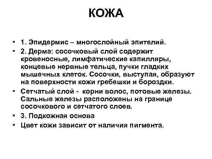 КОЖА • 1. Эпидермис – многослойный эпителий. • 2. Дерма: сосочковый слой содержит кровеносные,