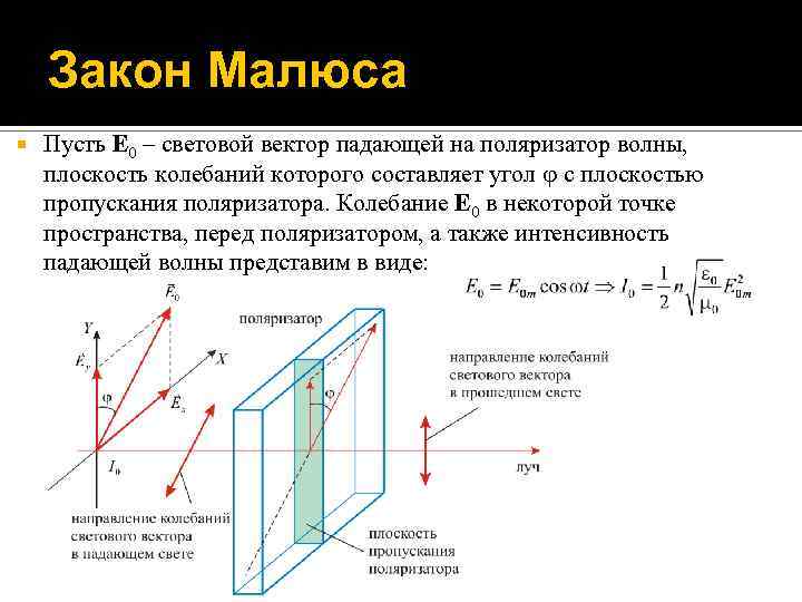 Закон Малюса Пусть E 0 – световой вектор падающей на поляризатор волны, плоскость колебаний