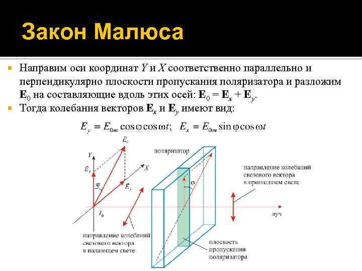 Закон Малюса Направим оси координат Y и X соответственно параллельно и перпендикулярно плоскости пропускания