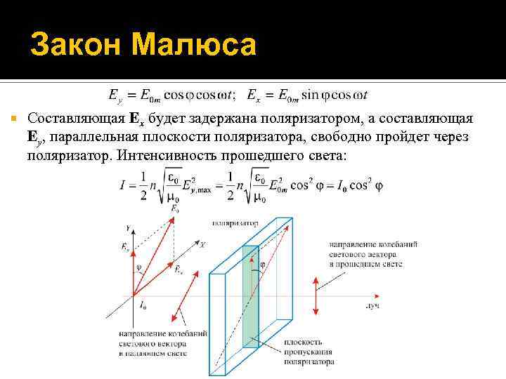 Закон Малюса Составляющая Ex будет задержана поляризатором, а составляющая Ey, параллельная плоскости поляризатора, свободно