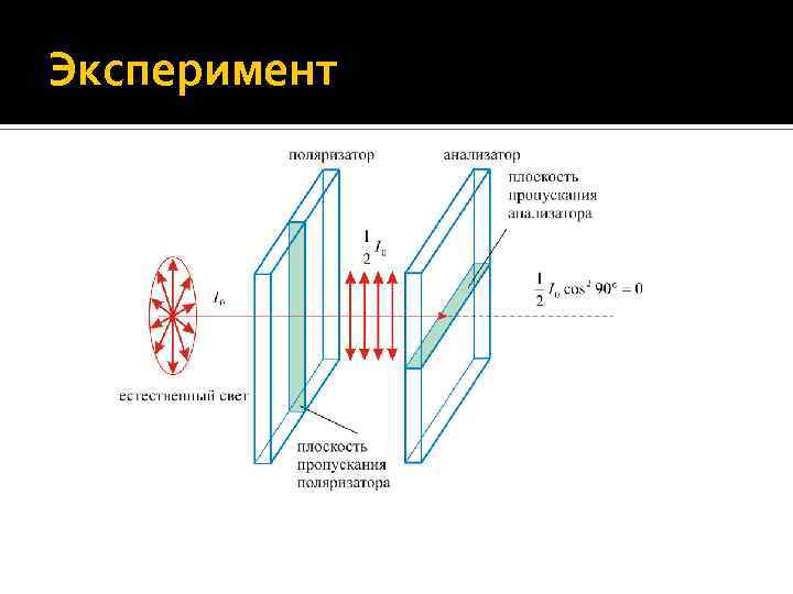 Эксперимент 