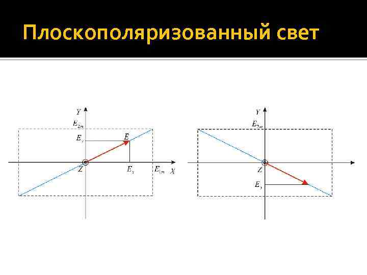 Плоскополяризованный свет 