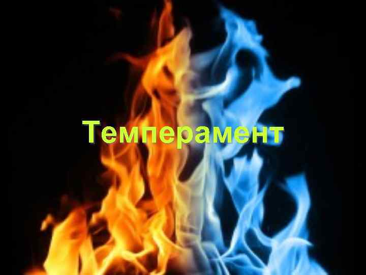 Темперамент 