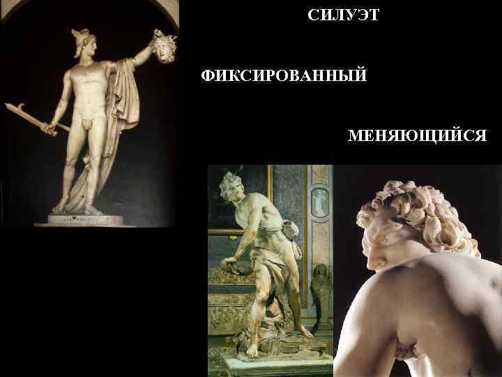 СИЛУЭТ ФИКСИРОВАННЫЙ МЕНЯЮЩИЙСЯ 