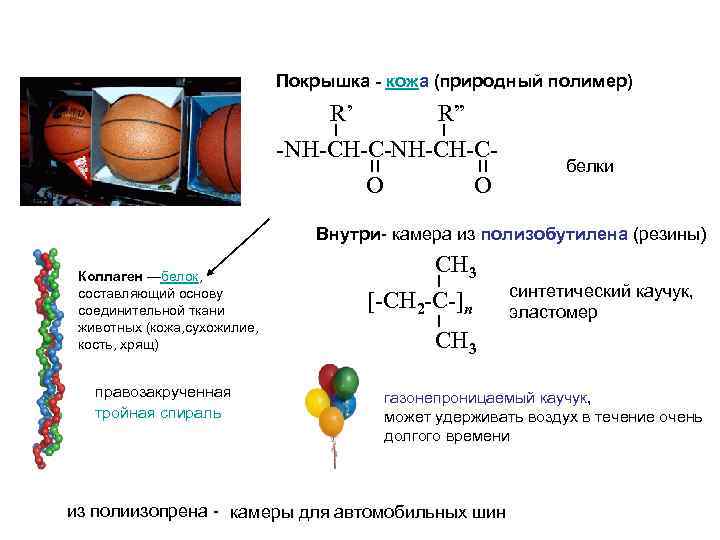 Покрышка - кожа (природный полимер) R’ R” -NH-CH-CO O белки Внутри- камера из полизобутилена