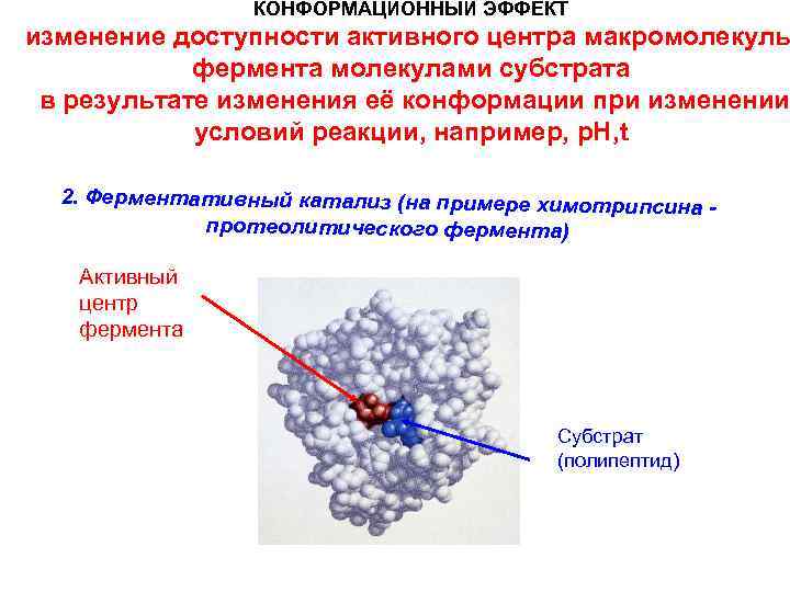 Молекула фермента