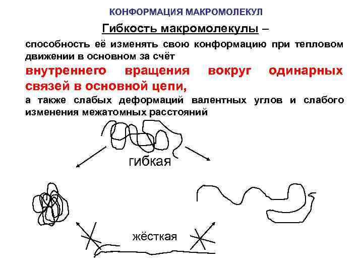 КОНФОРМАЦИЯ МАКРОМОЛЕКУЛ Гибкость макромолекулы – способность её изменять свою конформацию при тепловом движении в