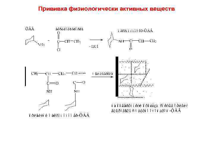 Прививка физиологически активных веществ 