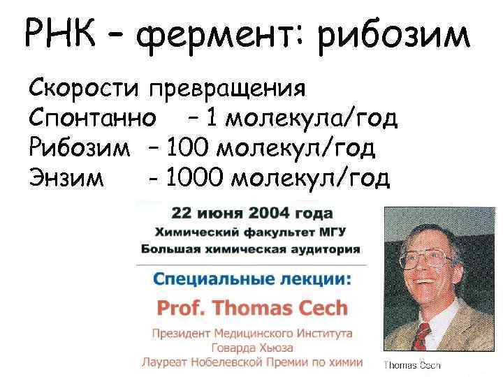 РНК – фермент: рибозим Скорости превращения Спонтанно – 1 молекула/год Рибозим – 100 молекул/год