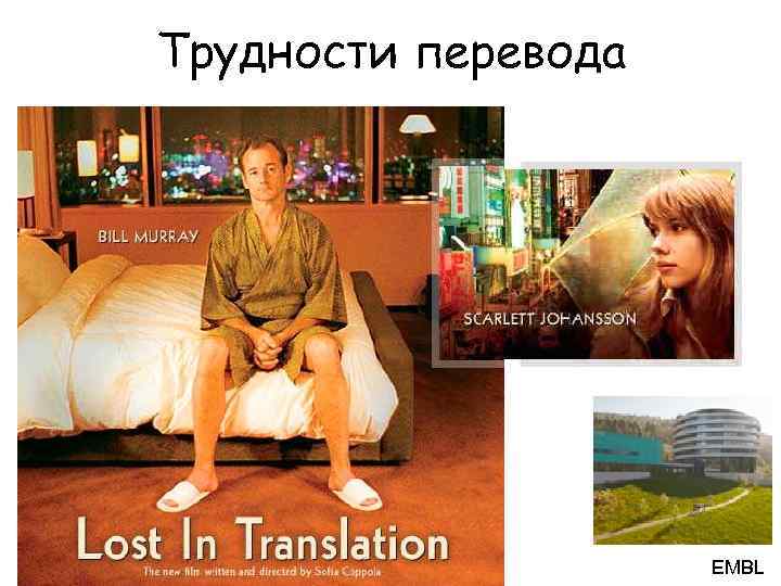 Трудности перевода EMBL 