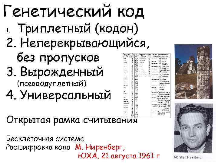 Генетический код Триплетный (кодон) 2. Неперекрывающийся, без пропусков 3. Вырожденный 1. (псевдодуплетный) 4. Универсальный
