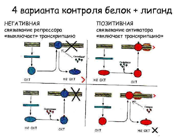 Варианты контроля