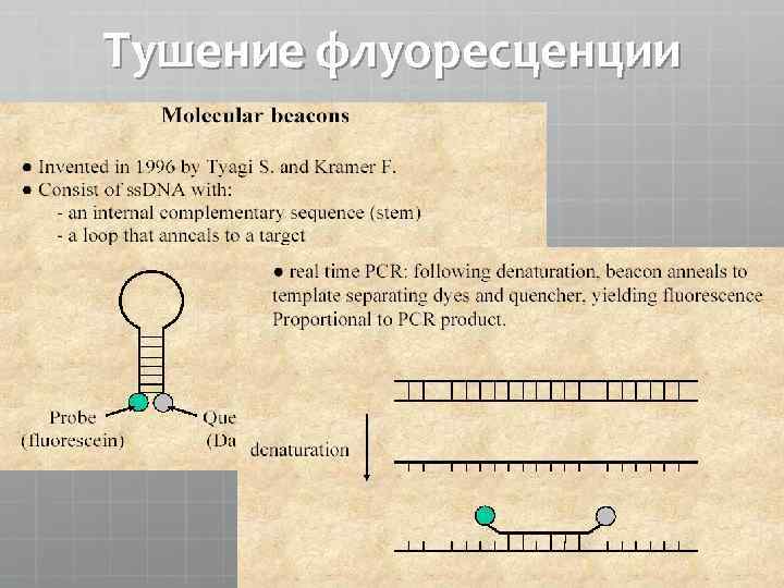 Тушение флуоресценции 