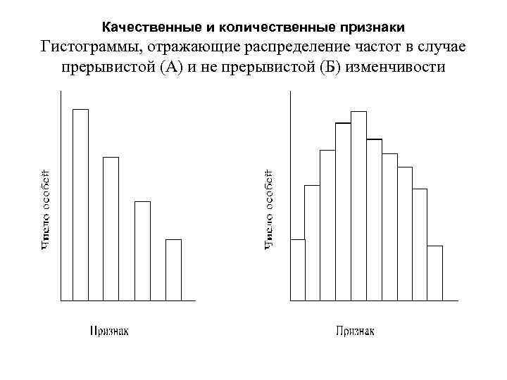 Качественные и количественные признаки Гистограммы, отражающие распределение частот в случае прерывистой (А) и не