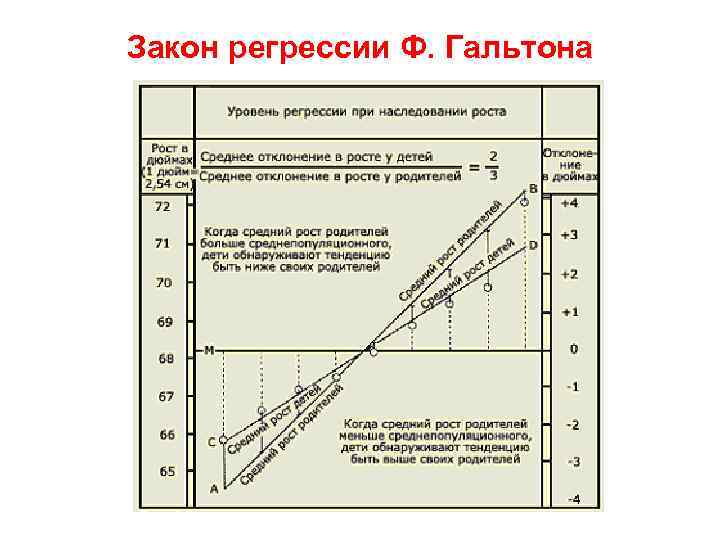 Закон регрессии Ф. Гальтона 