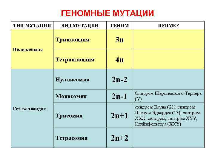 В лаборатории студенты изучают моносомию в их распоряжении имеется семь образцов клеток растений