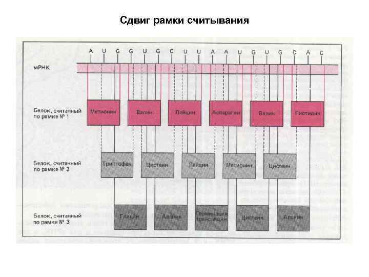 Сдвиг рамки считывания 