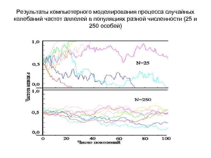 Результаты компьютерного моделирования процесса случайных колебаний частот аллелей в популяциях разной численности (25 и