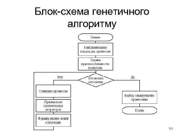 Блок-схема генетичного алгоритму 11 