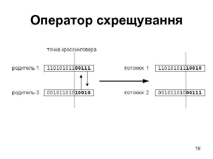 Оператор схрещування 19 