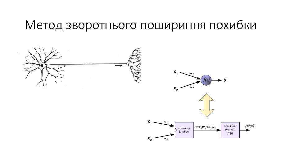 Метод зворотнього пошириння похибки 