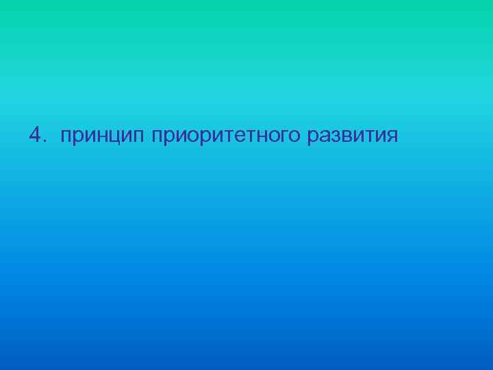 4. принцип приоритетного развития 
