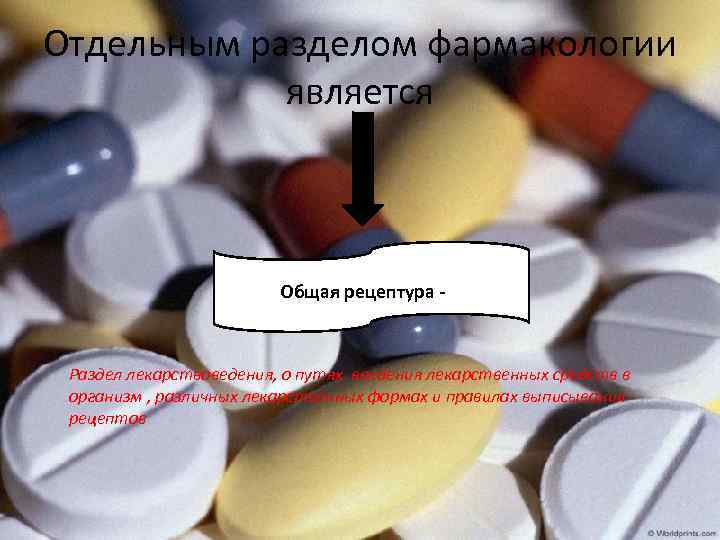 Отдельным разделом фармакологии является Общая рецептура - Раздел лекарствоведения, о путях введения лекарственных средств