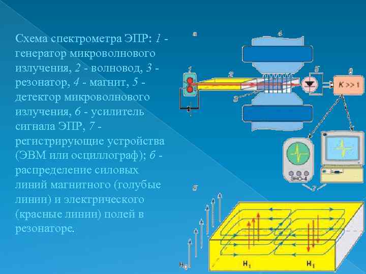 Блок схема спектрометра эпр особенности эксперимента достоинства и ограничения метода