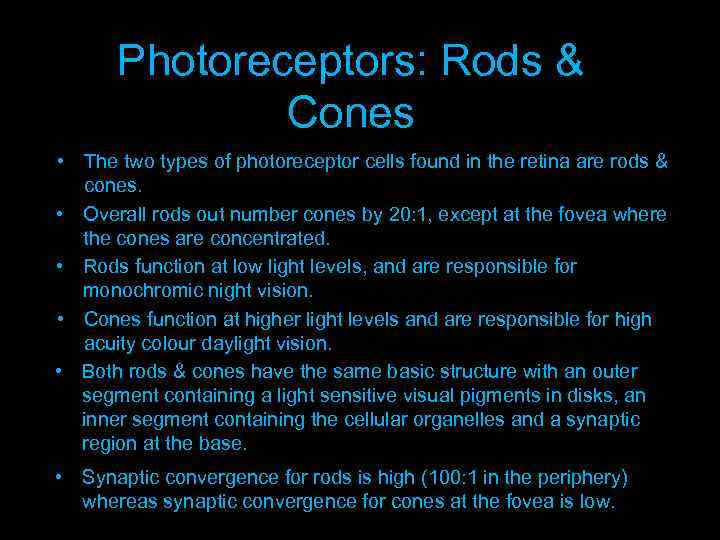 Photoreceptors: Rods & Cones • The two types of photoreceptor cells found in the