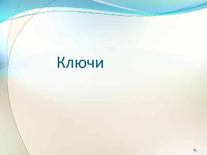 Ключи 65 