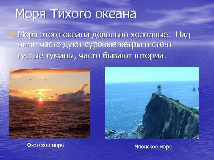 Моря Тихого океана • Моря этого океана довольно холодные. Над ними часто дуют суровые