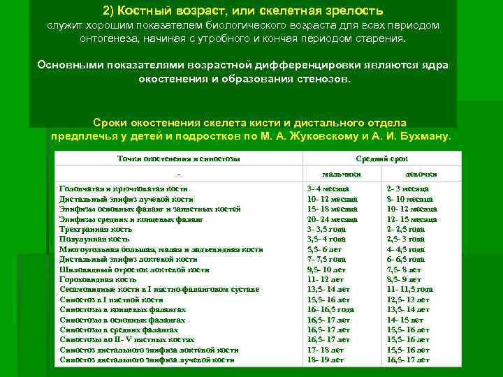 2) Костный возраст, или скелетная зрелость служит хорошим показателем биологического возраста для всех периодом