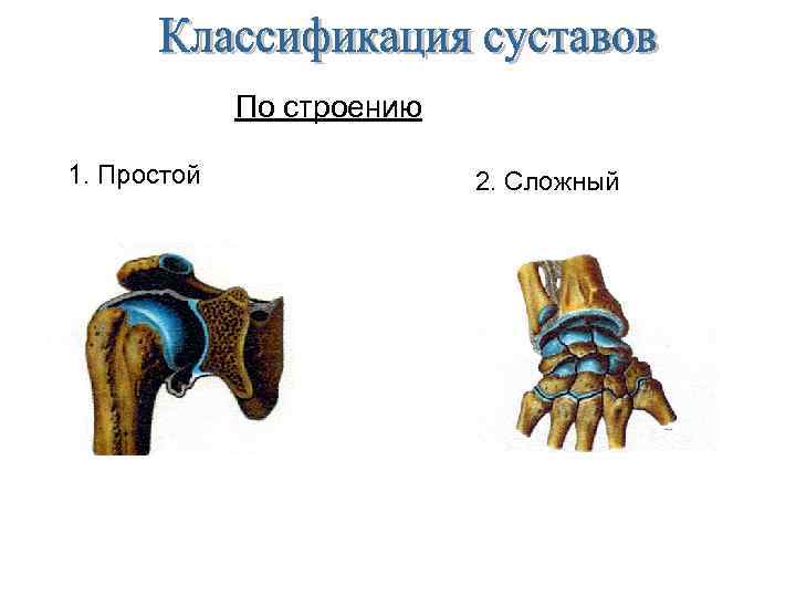 По строению 1. Простой 2. Сложный 