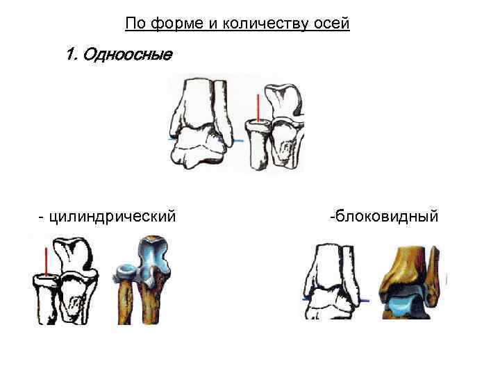 По форме и количеству осей 1. Одноосные - цилиндрический -блоковидный 