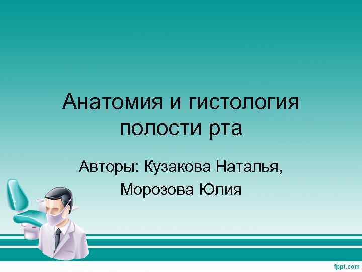 Анатомия и гистология полости рта Авторы: Кузакова Наталья, Морозова Юлия 