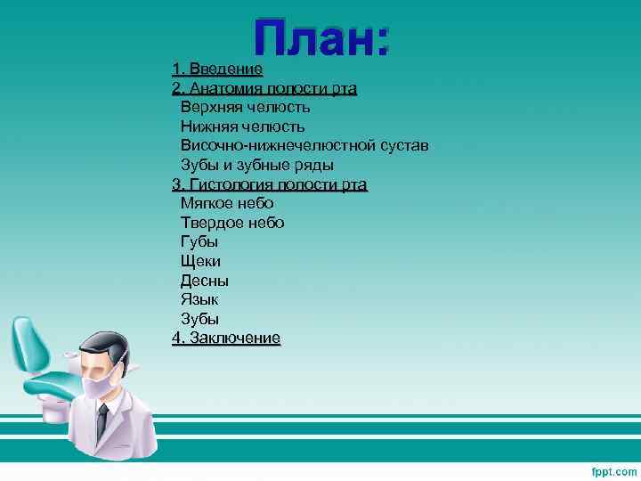 План: 1. Введение 2. Анатомия полости рта Верхняя челюсть Нижняя челюсть Височно-нижнечелюстной сустав Зубы