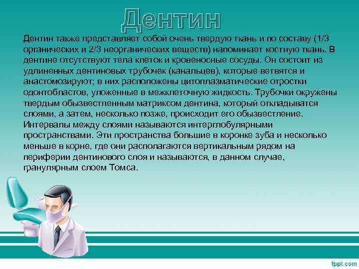 Дентин также представляет собой очень твердую ткань и по составу (1/3 органических и 2/3