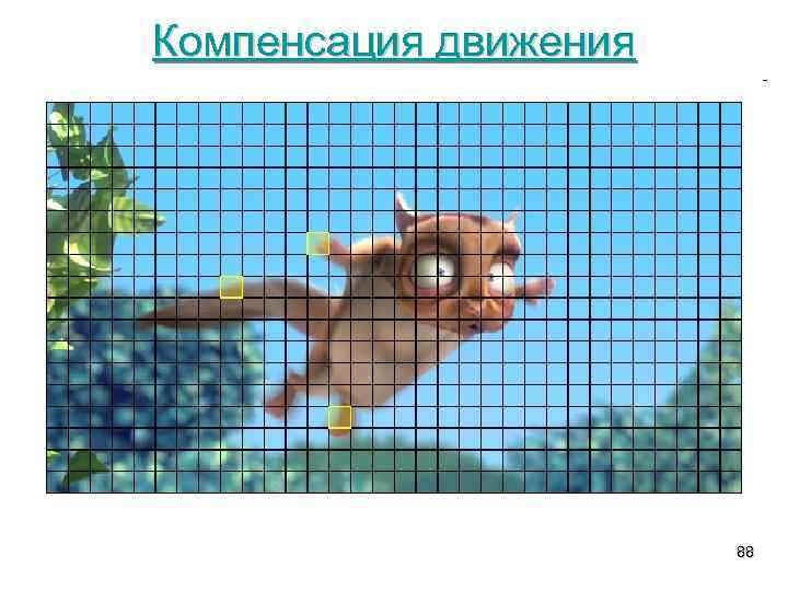 Компенсация движения 88 