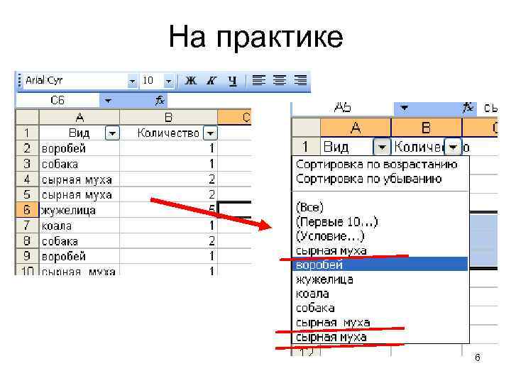 На практике 6 