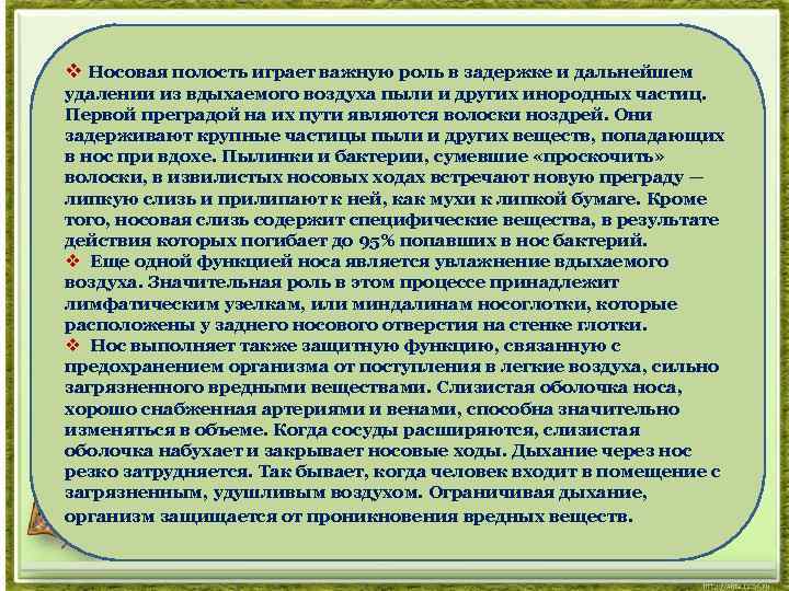 v Носовая полость играет важную роль в задержке и дальнейшем удалении из вдыхаемого воздуха