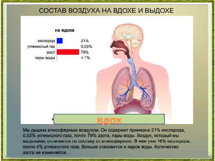 При вдохе диаграмма