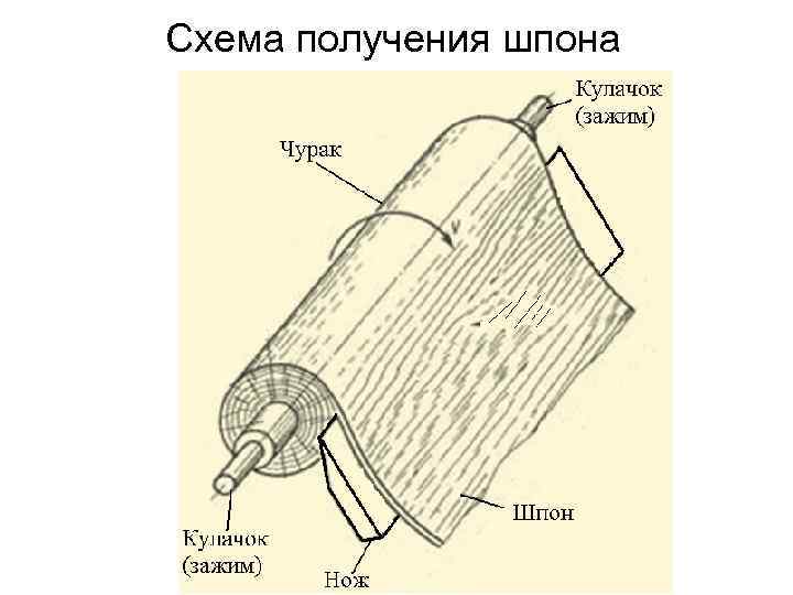 Способы получения шпона