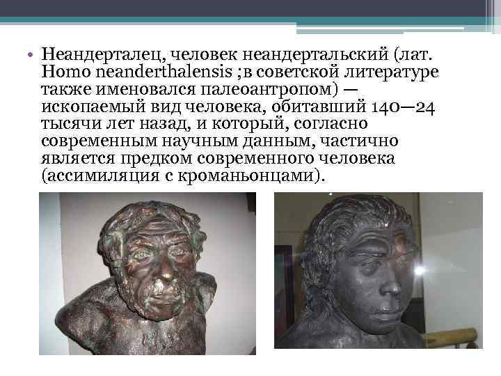  • Неандерталец, человек неандертальский (лат. Homo neanderthalensis ; в советской литературе также именовался