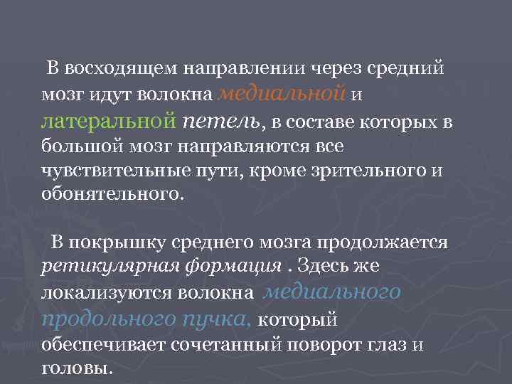 В восходящем направлении через средний мозг идут волокна медиальной и латеральной петель, в составе