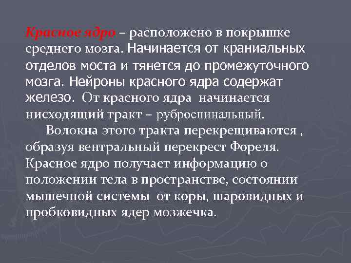 Красное ядро – расположено в покрышке среднего мозга. Начинается от краниальных отделов моста и